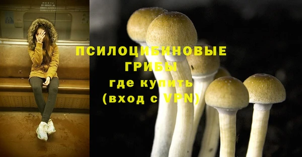 прущая мука Алексеевка