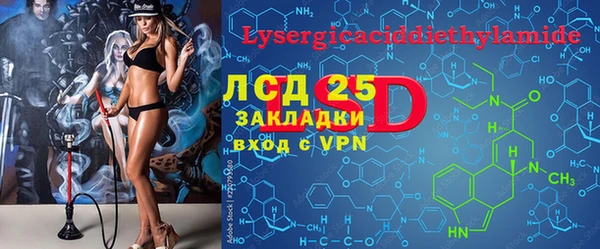 прущие грибы Алзамай