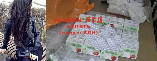 прущие грибы Алзамай