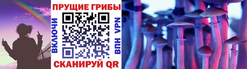 как найти закладки  Амурск  Галлюциногенные грибы Psilocybine cubensis 